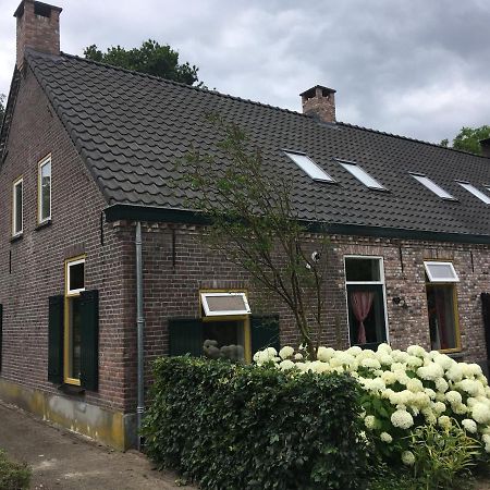 Vakantiehuis In Het Voorhuis Dommelen Exterior foto