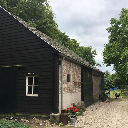 Vakantiehuis In Het Voorhuis Dommelen Exterior foto